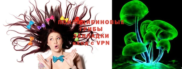 дживик Абинск