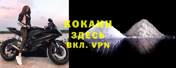 дживик Абинск