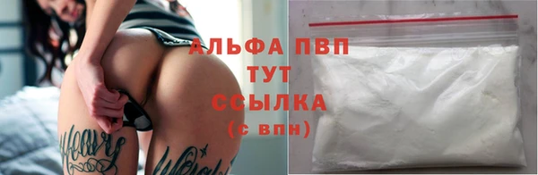 ПСИЛОЦИБИНОВЫЕ ГРИБЫ Абаза