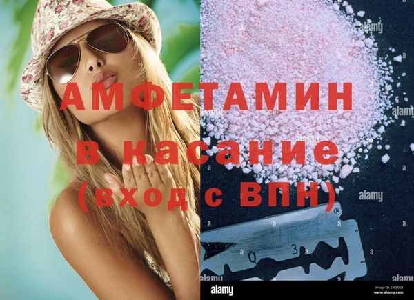 ПСИЛОЦИБИНОВЫЕ ГРИБЫ Абаза