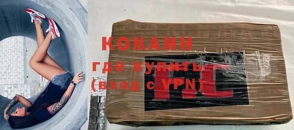 ПСИЛОЦИБИНОВЫЕ ГРИБЫ Абаза