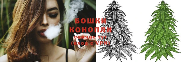 ПСИЛОЦИБИНОВЫЕ ГРИБЫ Абаза