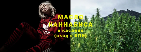 дживик Абинск