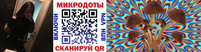 купить наркотик  Катайск  Галлюциногенные грибы Cubensis 